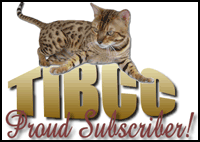The International Bengal Cat Connection